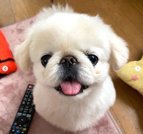 笑顔のまるこちゃん