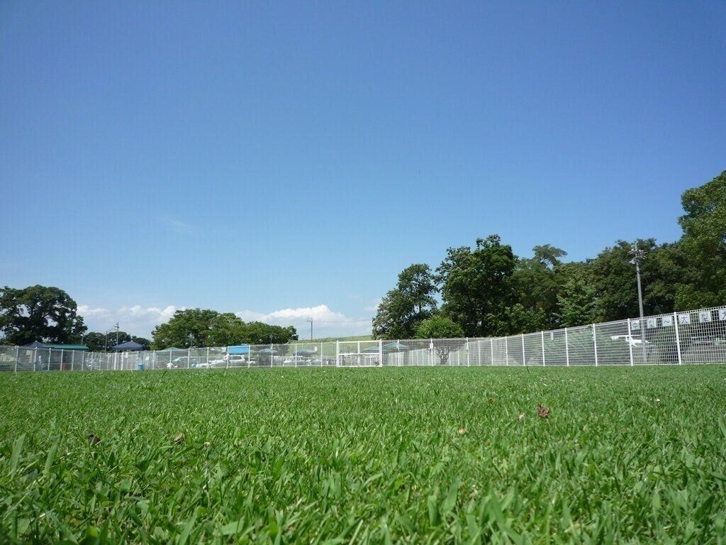 全面芝生のドッグラン