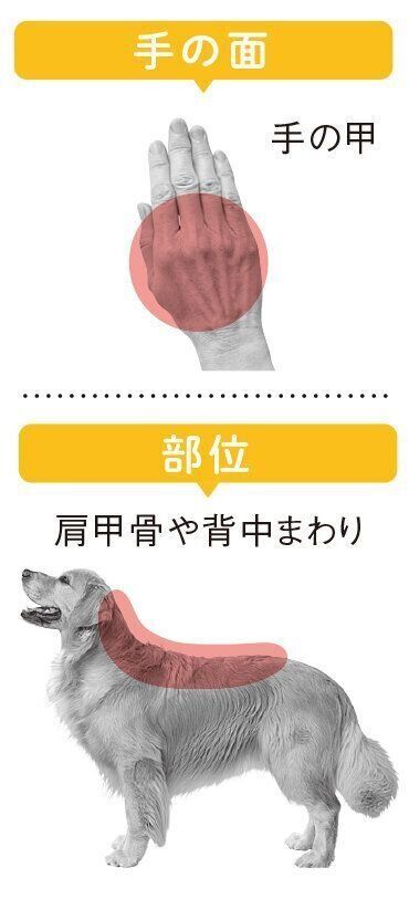 使う手の面となでる部位