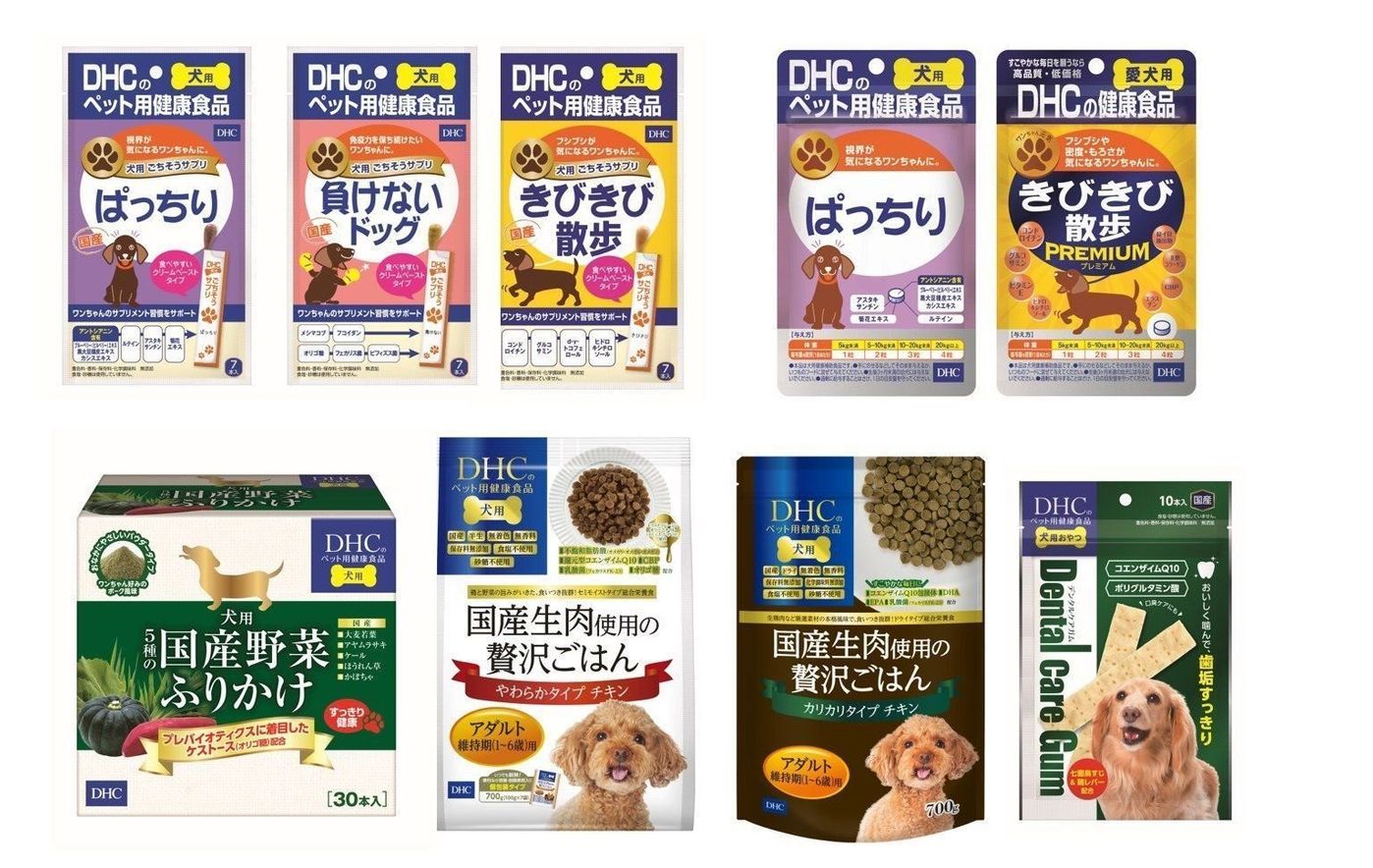 Pr 実は怖い 関節のトラブル 若い犬でもケアが必要ってホント いぬのきもちweb Magazine Pr 実は怖い 関節のトラブル 若い犬でもケアが必要ってホント いぬのきもちweb Magazine