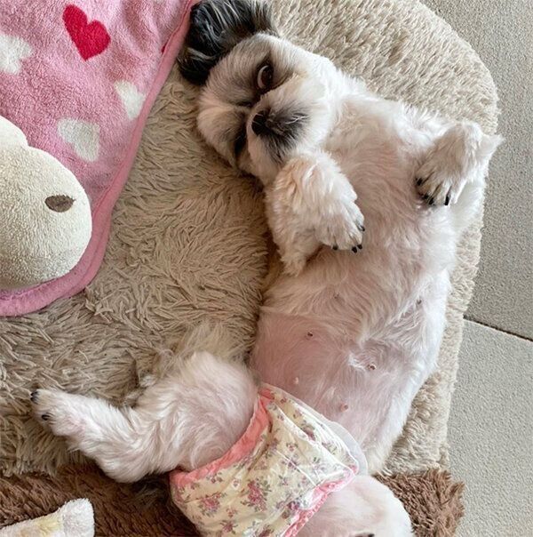 “オバケ”みたいになるえまちゃん