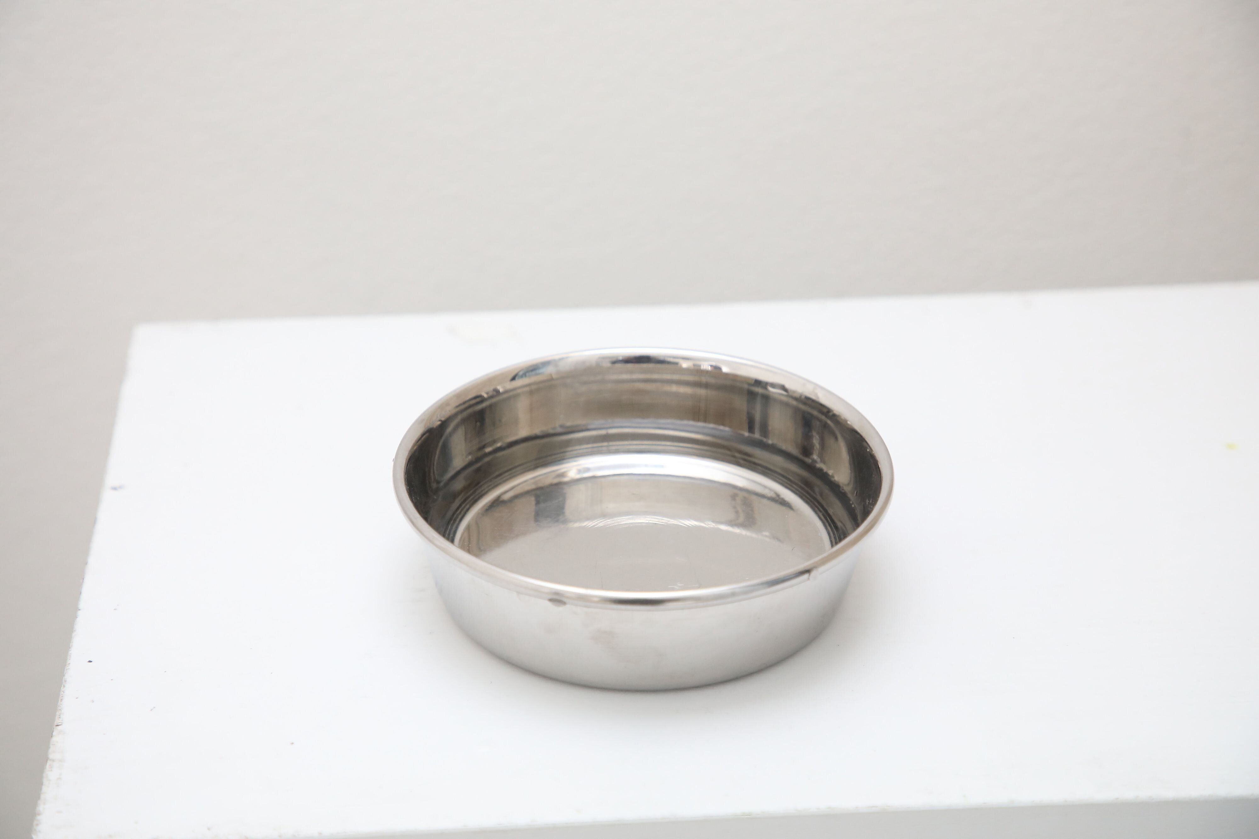 撮影／尾﨑たまき