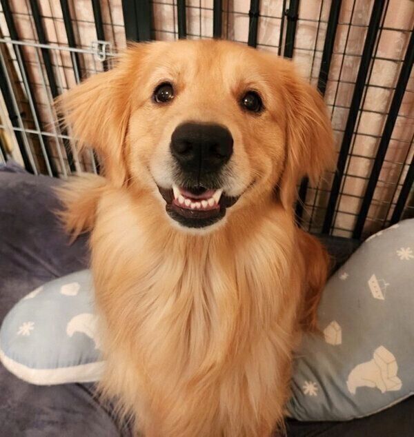 笑顔が可愛いシャーロットちゃん