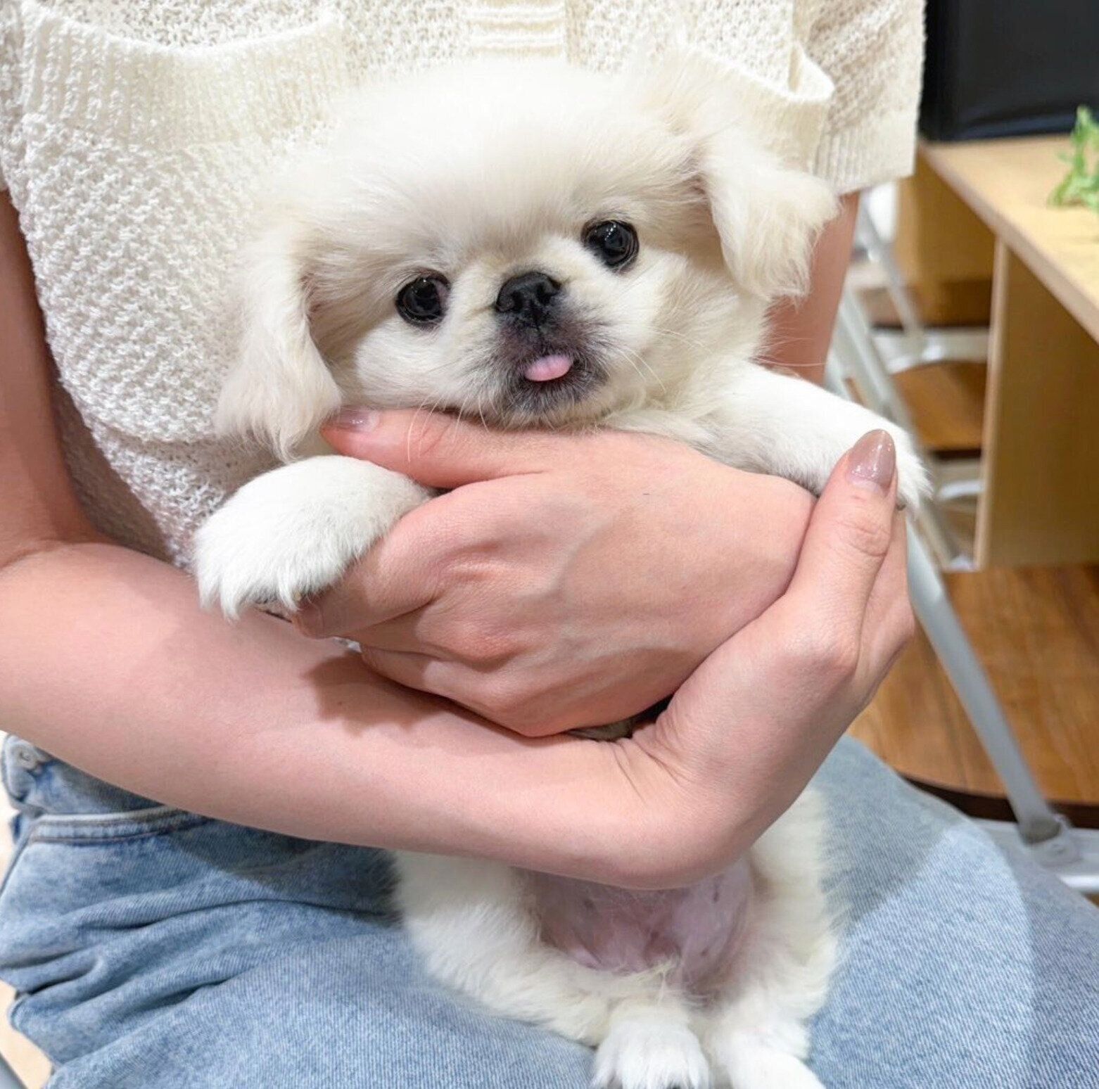 生後3カ月のころのもち吉くん
