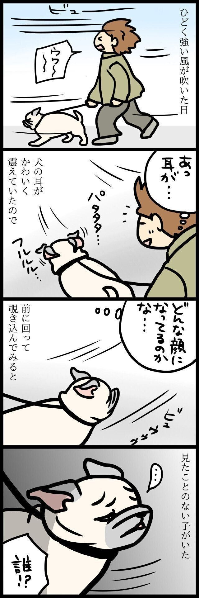 【連載】パグ犬めー