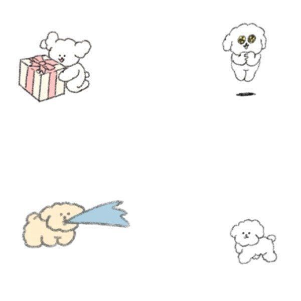 「いまどきのトイプー」