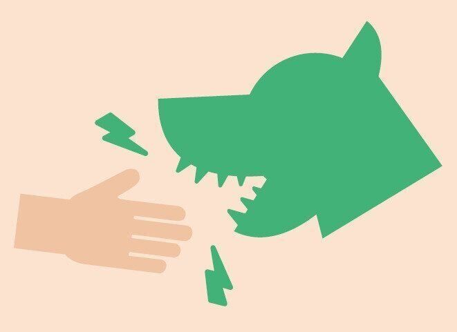 犬に噛まれると感染することも