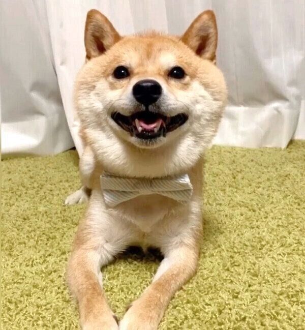 笑顔の豆千代くん