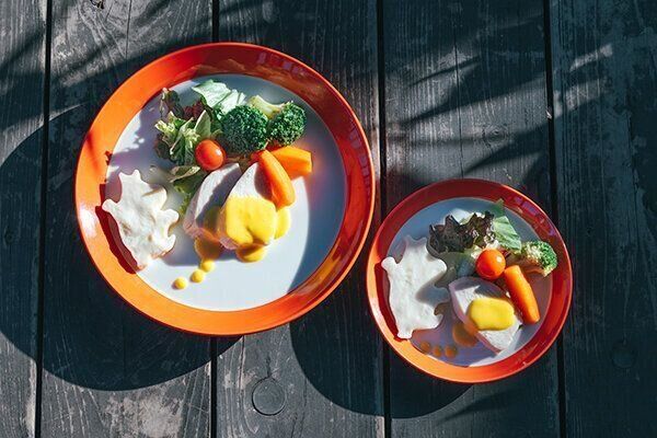 「SOPO SOPO DOG TAIL FAIR」で販売している犬用メニュー