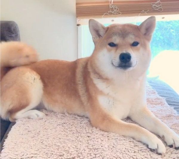 微笑むユクちゃん