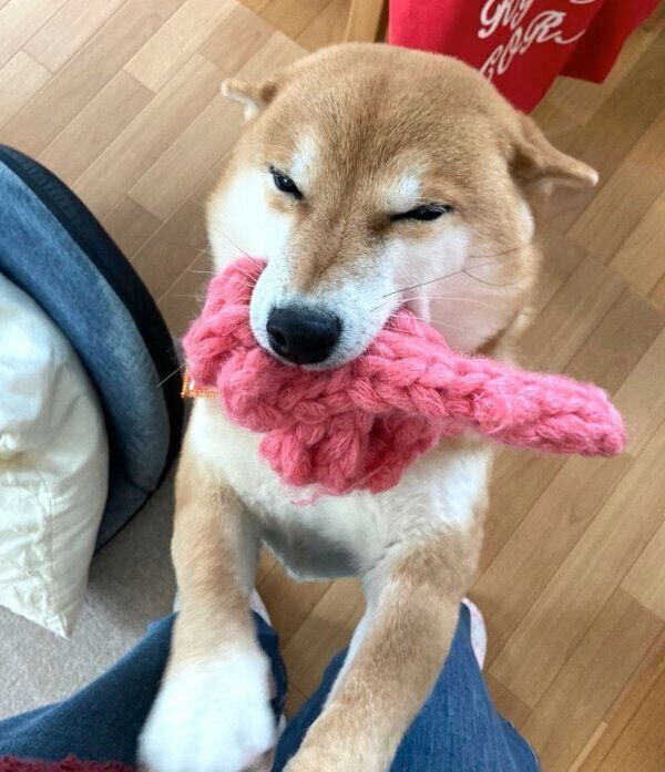 笑顔が素敵なすずちゃん