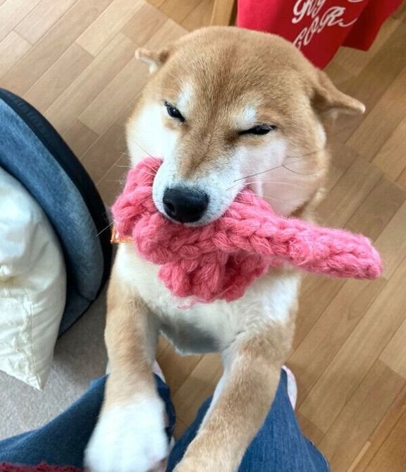 笑顔が素敵なすずちゃん