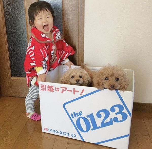 女の子とトイ・プードル