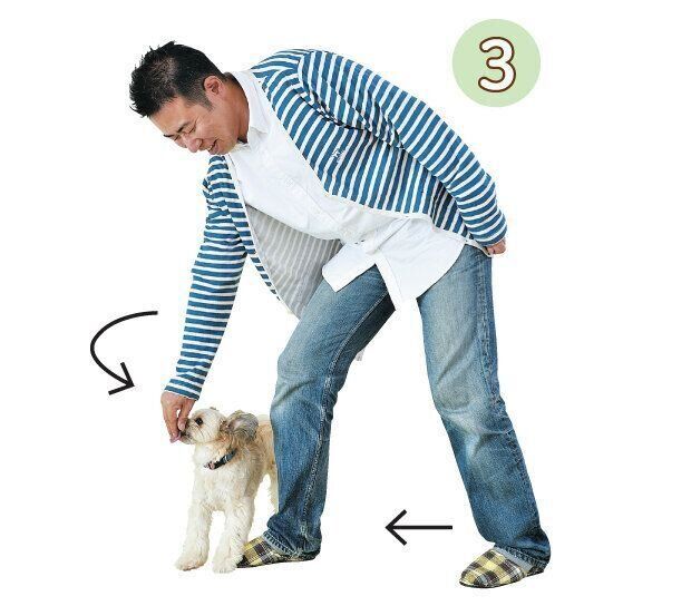 飼い主さんが左足を前に出す