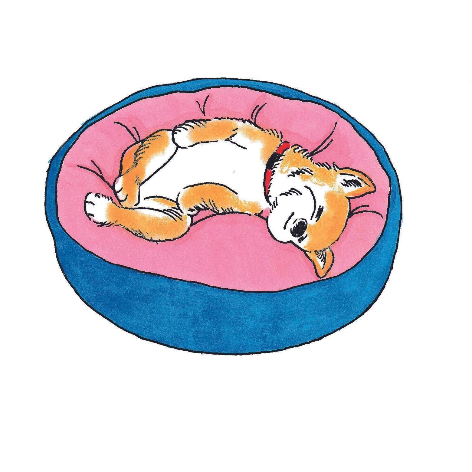 イラスト／小栗麗加