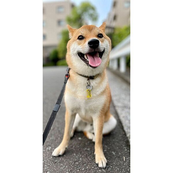 笑顔のむぎまるくん