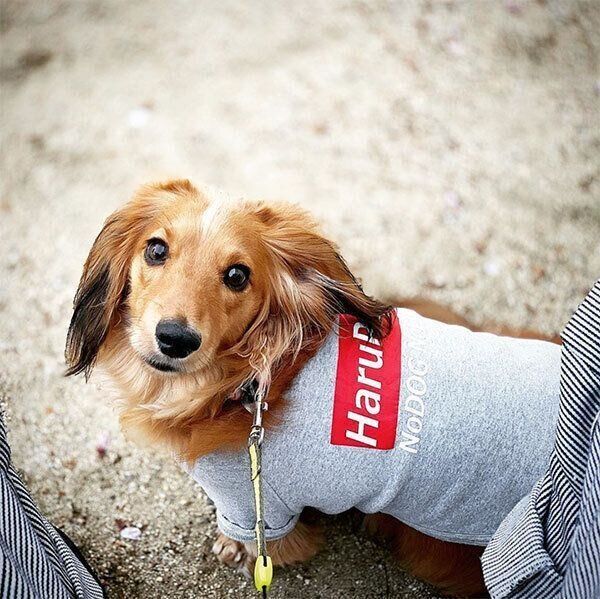 笑顔のハルくん