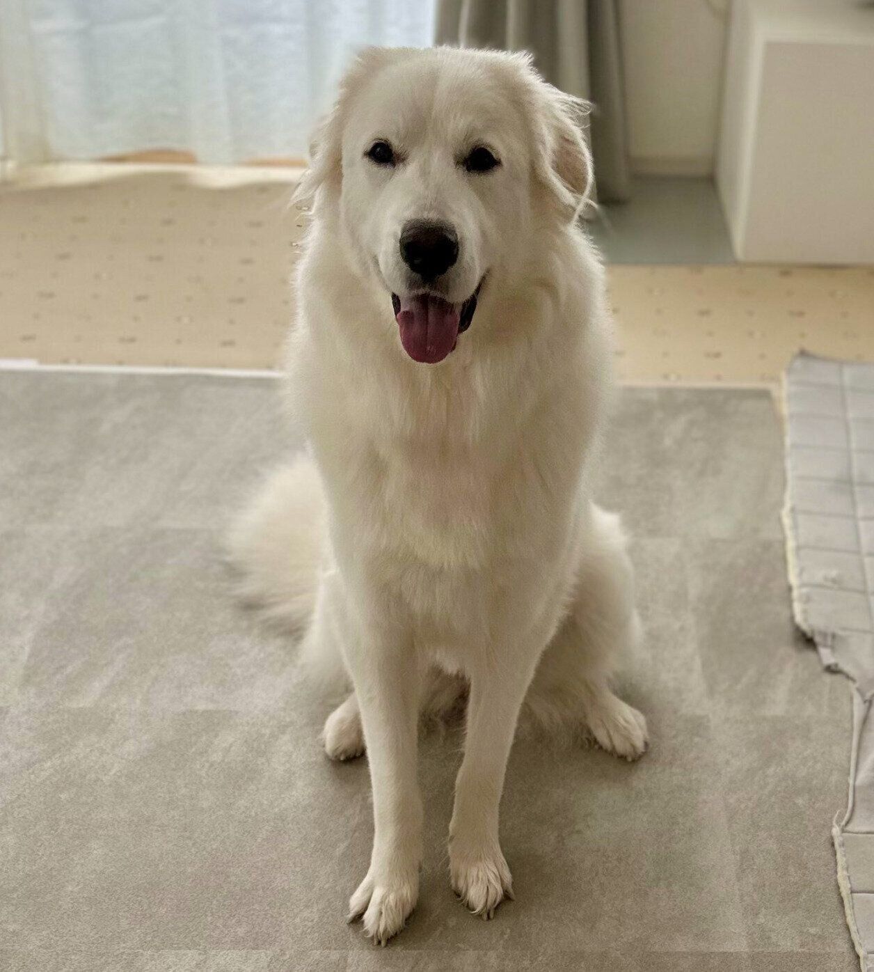 ニコッと微笑むララちゃん