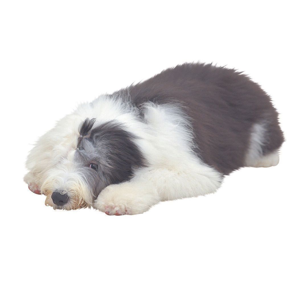撮影／犬丸美絵
