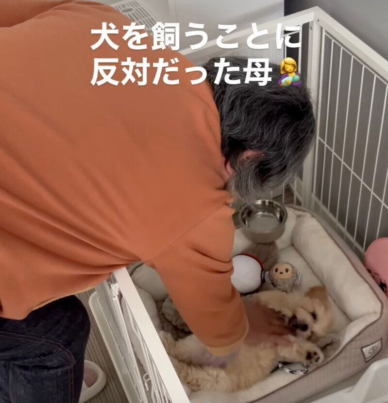 ぽてちゃんのお腹をなでる飼い主さんの母