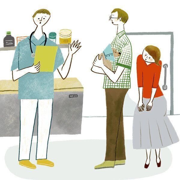 イラスト／macco