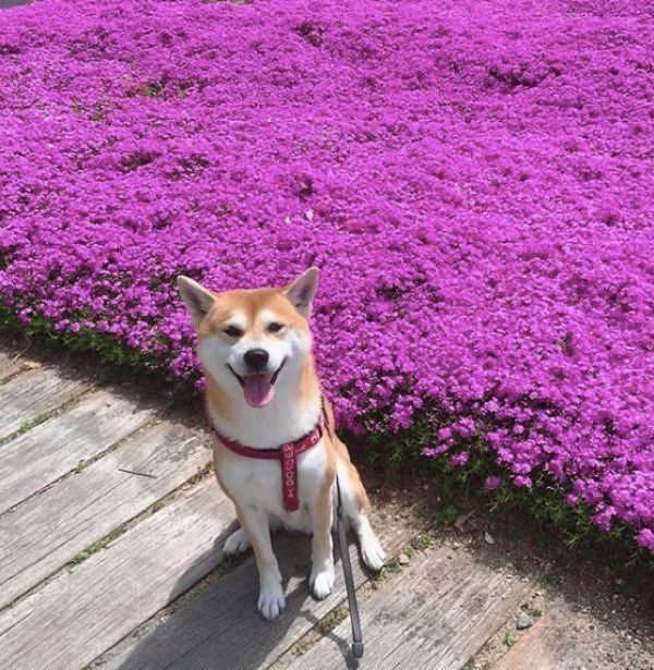 笑顔のハルくん