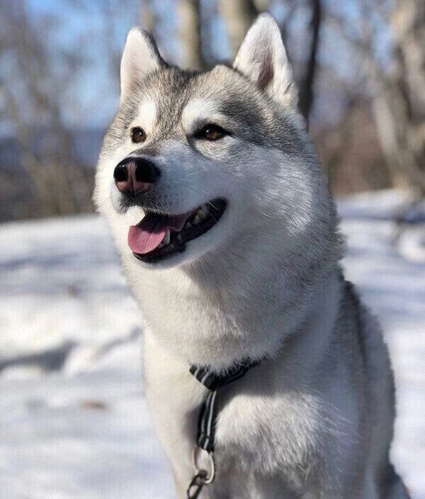 笑顔が可愛いほづみちゃん
