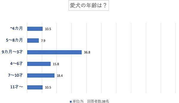 愛犬の年齢は？