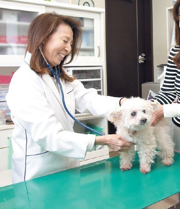 かかりつけの動物病院で定期的な検診を受けます。mama-one院長の浜部先生は、愛犬の年齢に合わせた的確なアドバイスをしてくれるそう