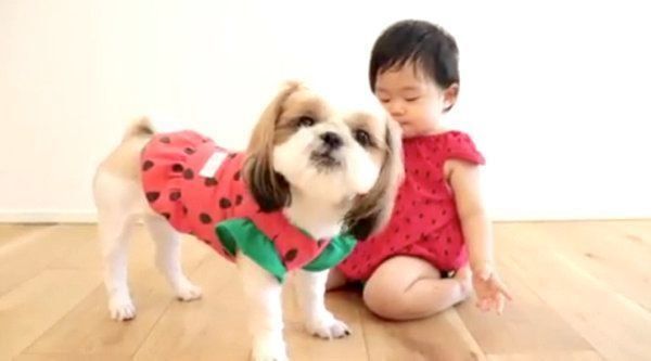 ブロッコリーを食べるシー・ズーと女の子