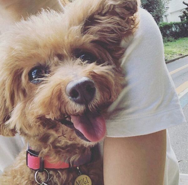 笑顔のむぎちゃん