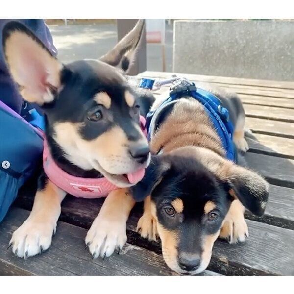 ななちゃんといぶきくん