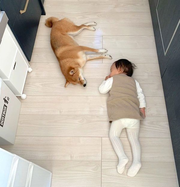 キッチンで寝落ちしてしまった花子ちゃんとモモ子ちゃん