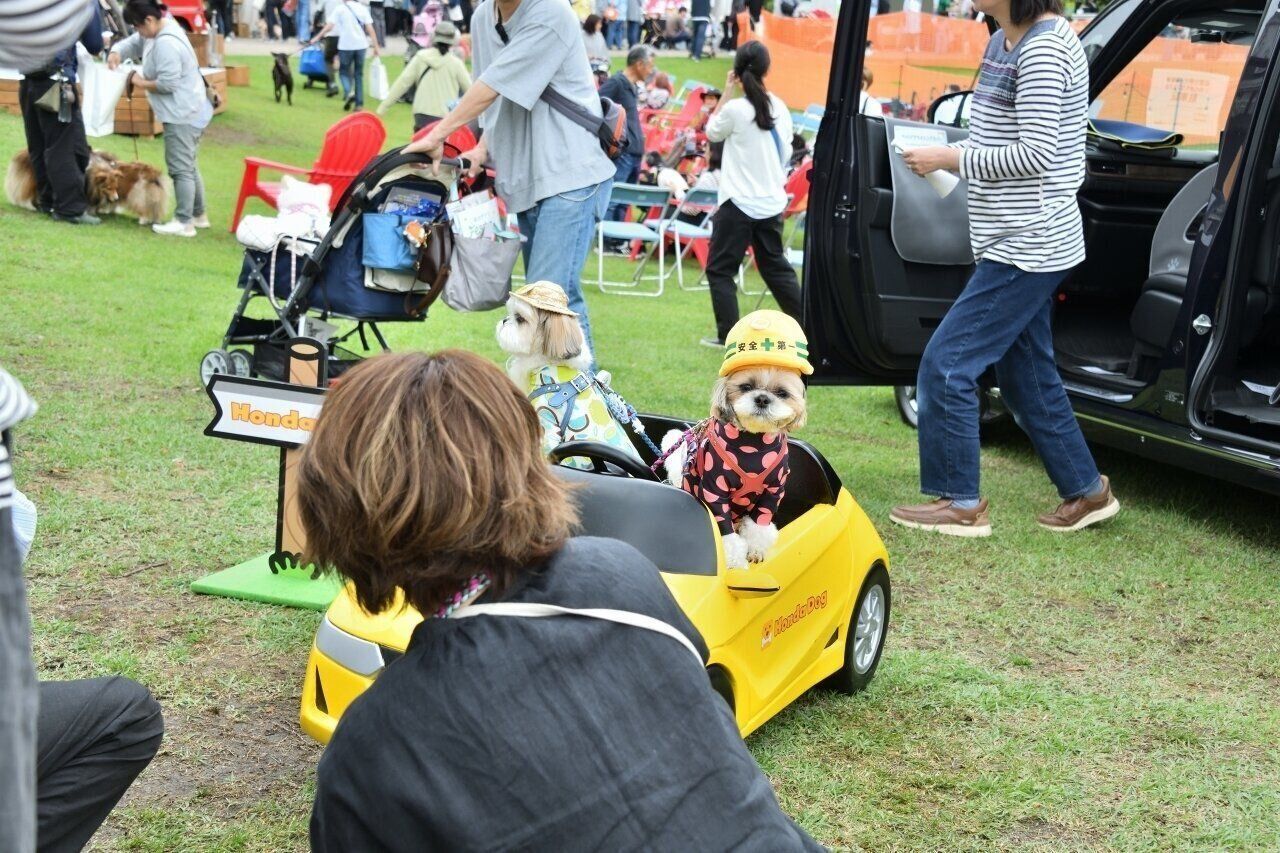 犬をホンダＳ660に乗せて楽しそうに撮影する飼い主さん