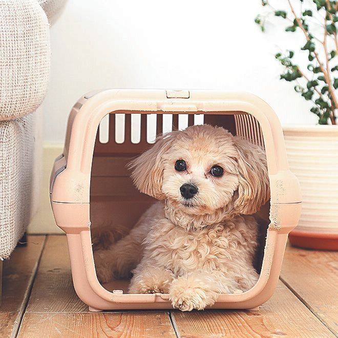 撮影／尾﨑たまき