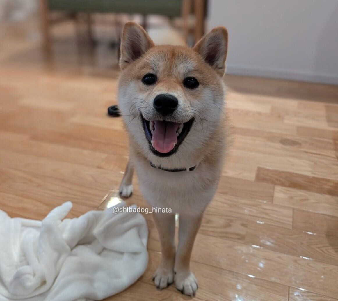笑顔がかわいいひなたくん