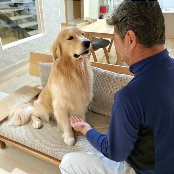 男らしいお手の練習をするアランくん