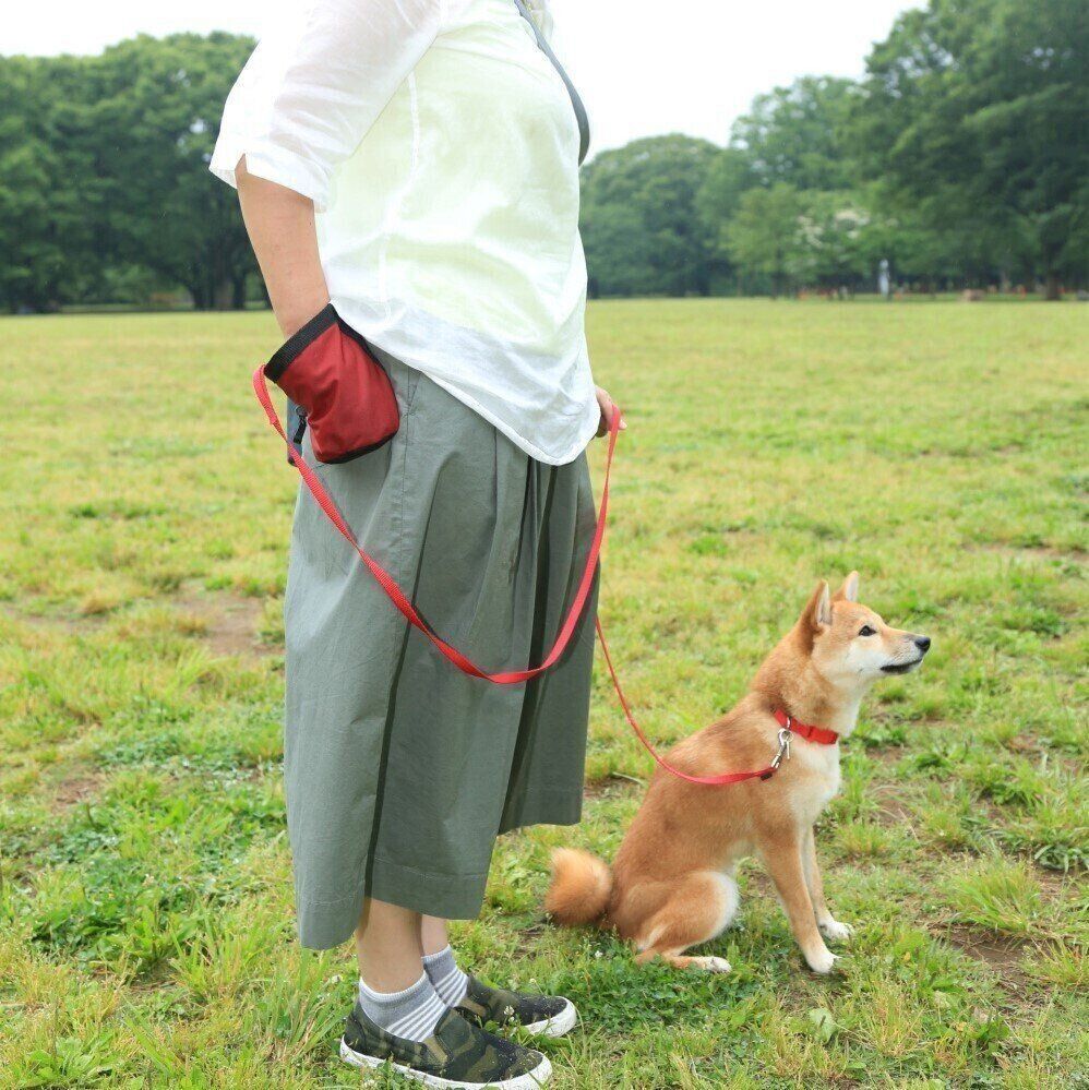 撮影／尾﨑たまき