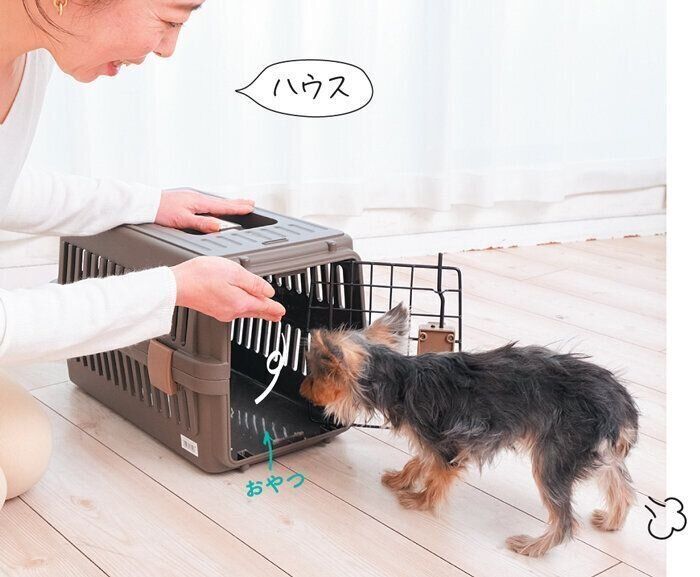 クレートの中に誘導される犬
