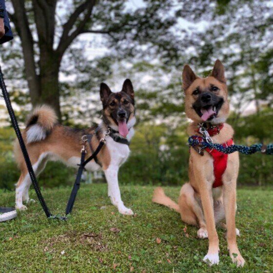 二匹で笑顔のショット！