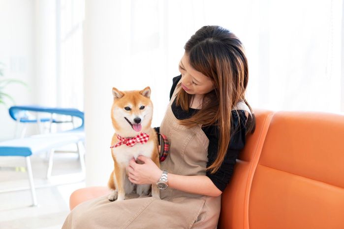 サニーちゃんと飼い主さん