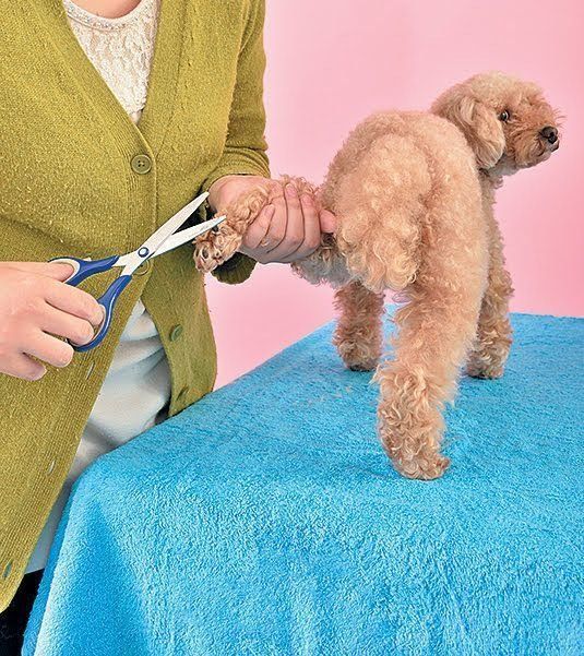 ハサミでカットするのは危険