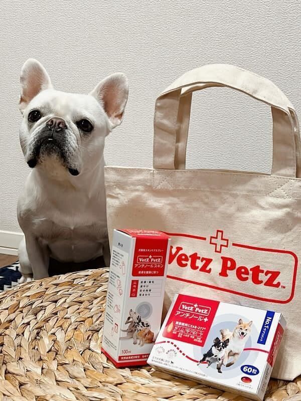 アンチノールプラス60粒×3箱 【公式通販】