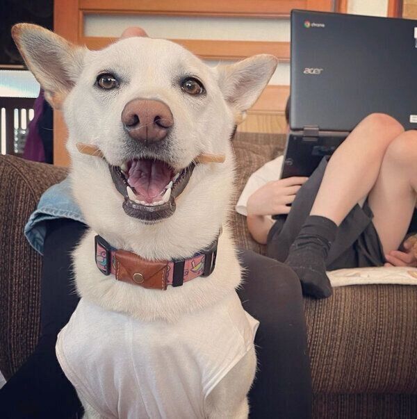 ガムを噛むチルちゃん