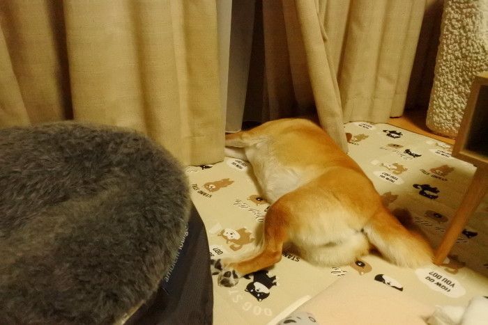 頭はひんやり〜