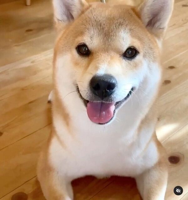 ベロが出てしまうユクちゃん