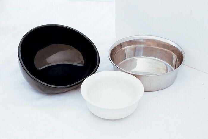 さまざまなフードボウル