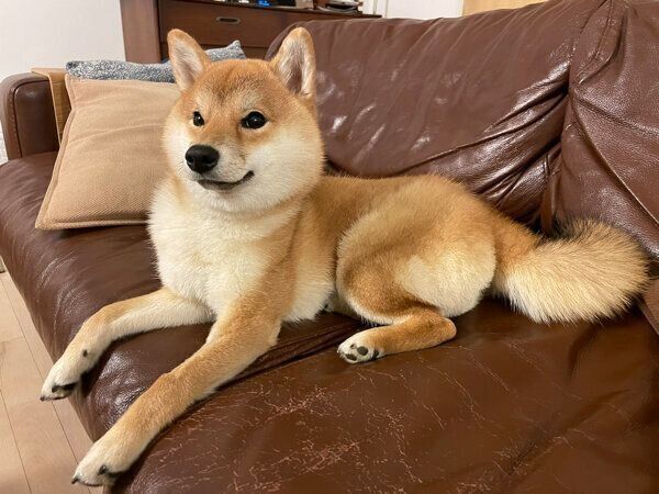 くつろぐマヤちゃん