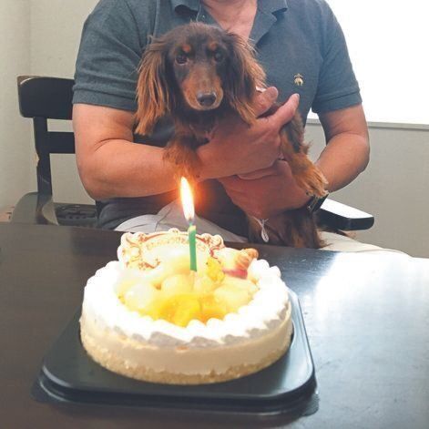 預かりボランティア宅での懸命のリハビリを行い、トライアル期間を経て、歩ちゃんがUさん宅に正式に迎えられる