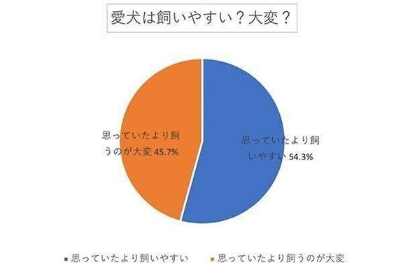 愛犬は飼いやすい? 大変?